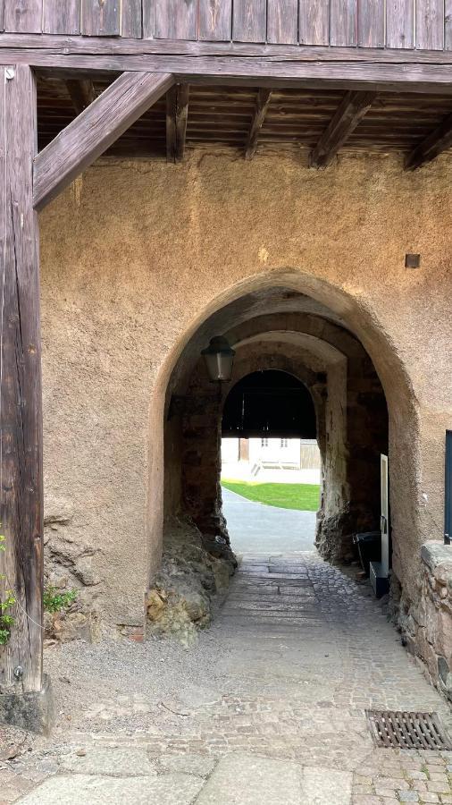 "Glueck Auf" Lichtdurchflutete Schicke Ferienwohnung In Zwickau Kültér fotó